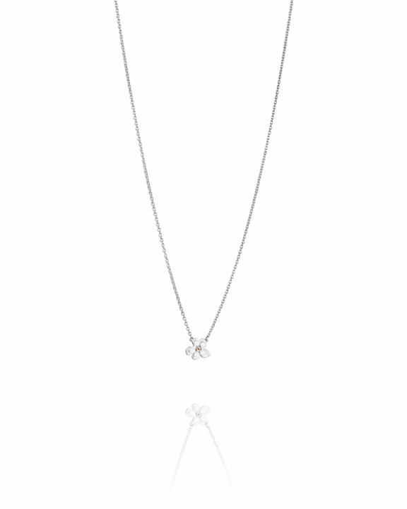 Förgätmigej Halsband Silver i gruppen Halsband / Silverhalsband hos SCANDINAVIAN JEWELRY DESIGN (10-100-02345-4045)