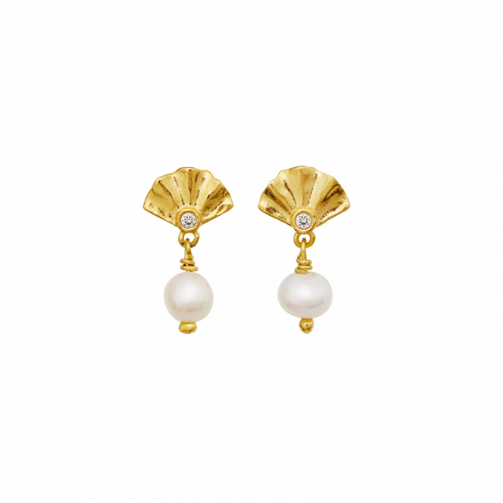 Odette Örhängen Guld i gruppen Örhängen / Pärlörhängen hos SCANDINAVIAN JEWELRY DESIGN (10038A)