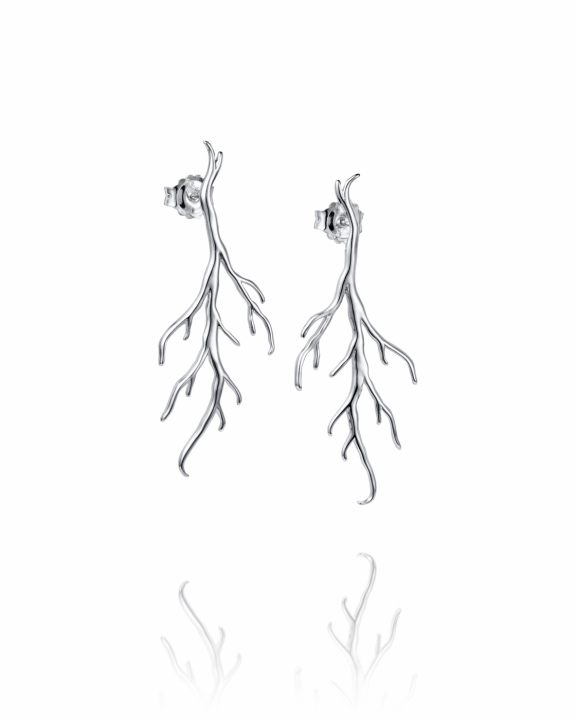 Rötter Örhängen Silver i gruppen Örhängen / Silverörhängen hos SCANDINAVIAN JEWELRY DESIGN (12-100-02355-0000)