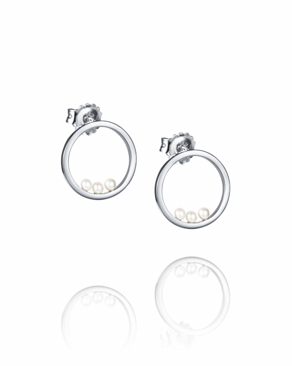 Roller coaster Örhängen Silver i gruppen Örhängen / Silverörhängen hos SCANDINAVIAN JEWELRY DESIGN (12-100-02377-0000)