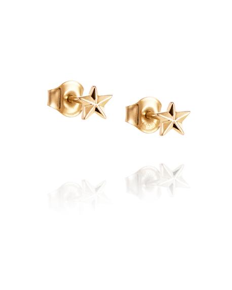 Micro catch a falling star stud Örhängen Guld i gruppen Örhängen / Guldörhängen hos SCANDINAVIAN JEWELRY DESIGN (12-101-02259-0000)