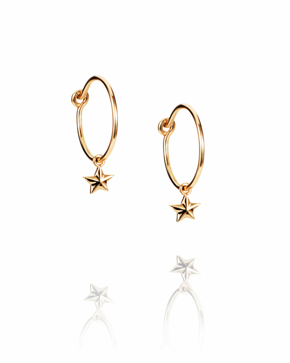 Micro catch a falling star Hoops Guld i gruppen Örhängen / Guldörhängen hos SCANDINAVIAN JEWELRY DESIGN (12-101-02260-0000)