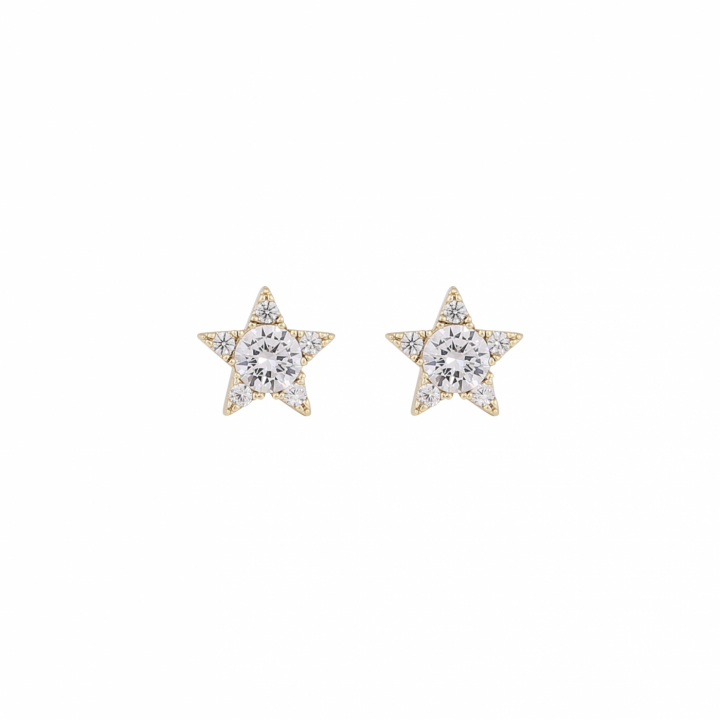 SNÖ OF SWEDEN Wish star ear Gold/clear-Onesize