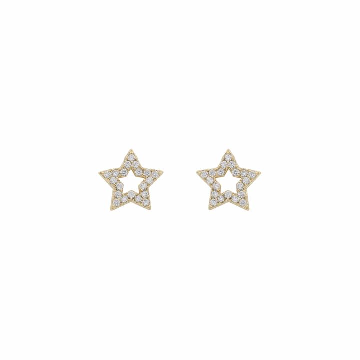 SNÖ OF SWEDEN Wish small star ear Gold/clear-Onesize