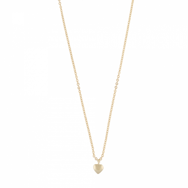 Brooklyn small heart pendant neck 42 Guld