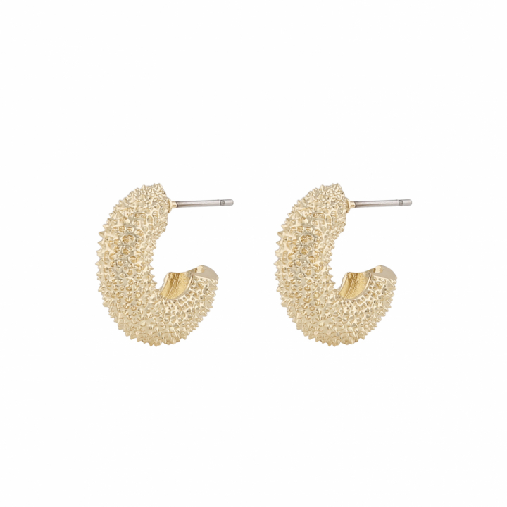 Lise oval ear Guld i gruppen Örhängen / Guldörhängen hos SCANDINAVIAN JEWELRY DESIGN (1297-7100-257)
