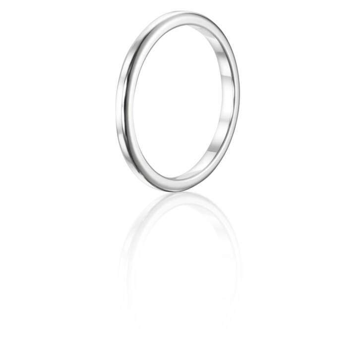 101 Days – Two Plain Ring Silver 20.50 mm