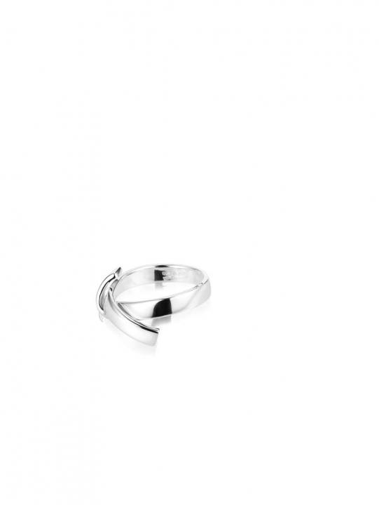 Friendship Ring Silver i gruppen Ringar / Silverringar hos SCANDINAVIAN JEWELRY DESIGN (13-100-01945)