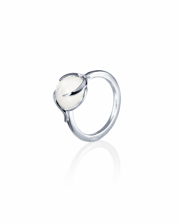 Frö Ring Silver i gruppen Ringar / Silverringar hos SCANDINAVIAN JEWELRY DESIGN (13-100-02342)