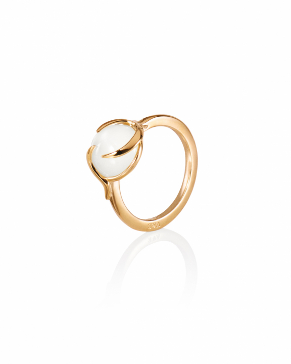 Frö Ring Guldpläterat Silver i gruppen Ringar / Guldringar hos SCANDINAVIAN JEWELRY DESIGN (13-108-02342)