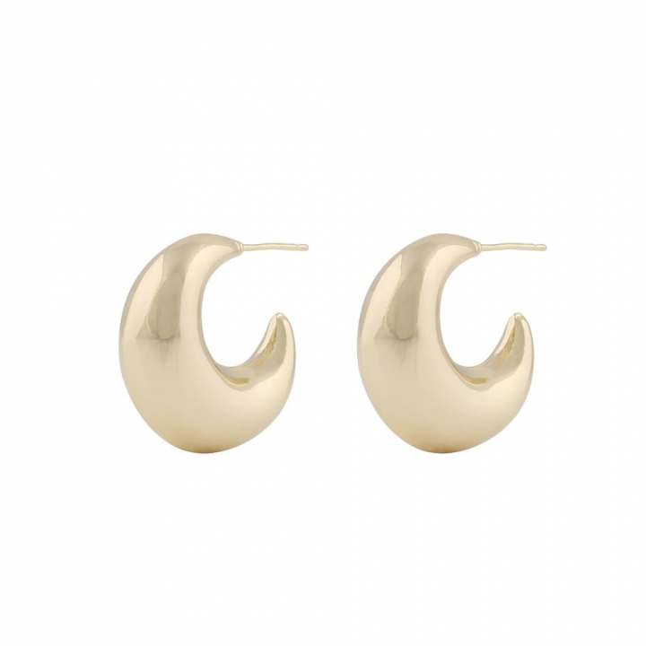 Millie round ear Gold i gruppen Örhängen / Guldörhängen hos SCANDINAVIAN JEWELRY DESIGN (1321-6500-257)