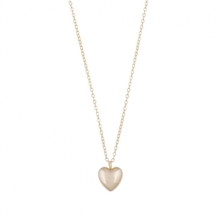 Lovely heart pendant Halsband Guld i gruppen Halsband / Guldhalsband hos SCANDINAVIAN JEWELRY DESIGN (1363-0442-257)