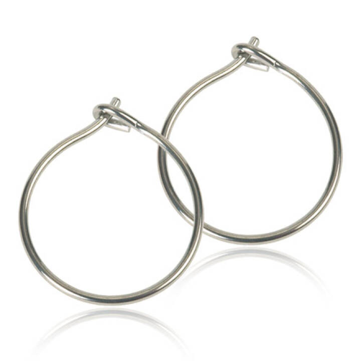 Natural Titanium Safety Ear Ring 12 mm Örhänge