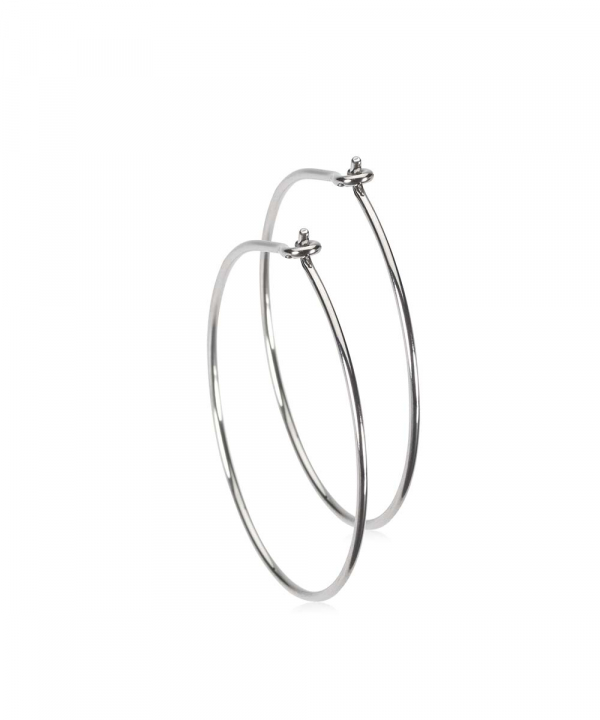 Product Image for BLOMDAHL Örhänge 25 mm Natural Titanium
