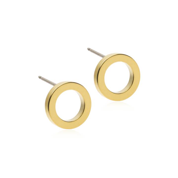GT Puck Hollow 10 mm i gruppen Örhängen hos SCANDINAVIAN JEWELRY DESIGN (15-13178-00)