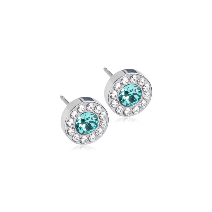 Silver Titanium Brilliance Halo 8 mm Crystal/turquoise Örhänge