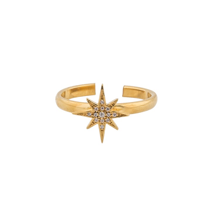 One star ring guld i gruppen Ringar / Guldringar hos SCANDINAVIAN JEWELRY DESIGN (1631521001)