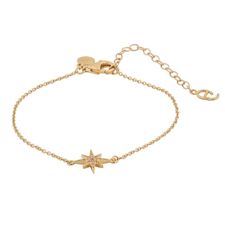 One star brace armband guld i gruppen Armband / Guldarmband hos SCANDINAVIAN JEWELRY DESIGN (1637321001)