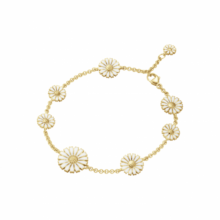 DAISY Armband Guld i gruppen Armband / Guldarmband hos SCANDINAVIAN JEWELRY DESIGN (20001668)