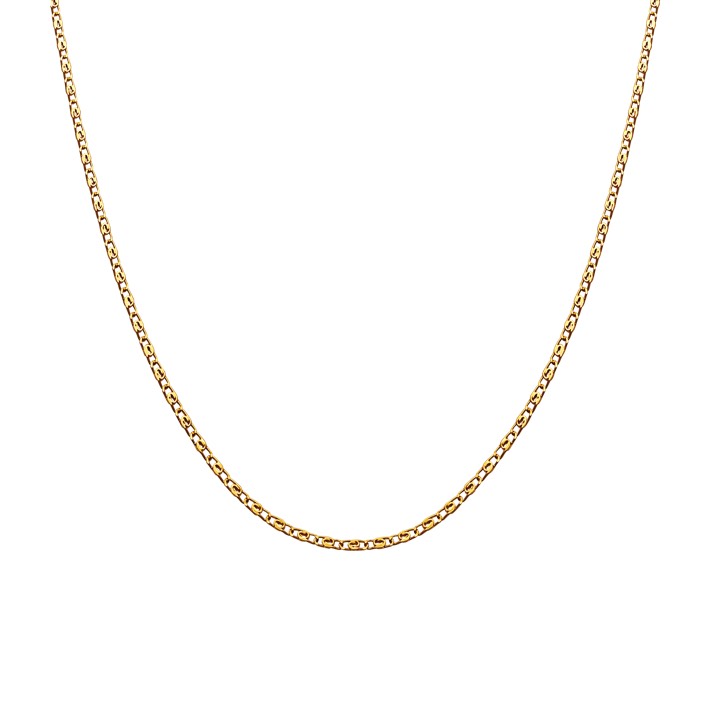 Eva Chocker halsband (guld) 40 cm i gruppen Halsband / Guldhalsband hos SCANDINAVIAN JEWELRY DESIGN (2550a)