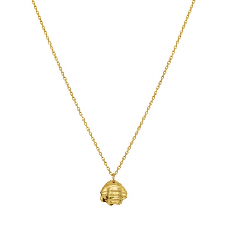 MARNIE Halsband Guld i gruppen Halsband / Guldhalsband hos SCANDINAVIAN JEWELRY DESIGN (2693A)