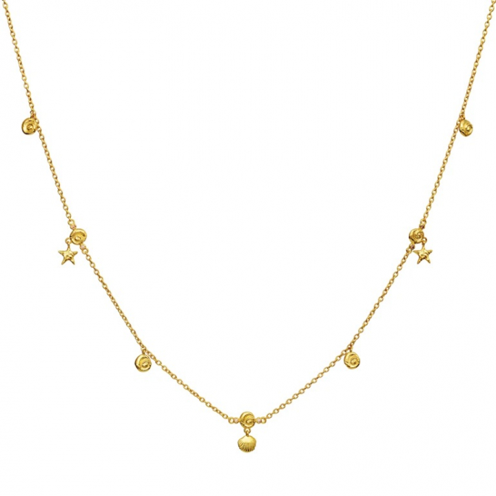 LEILANI Halsband Guld i gruppen Halsband / Guldhalsband hos SCANDINAVIAN JEWELRY DESIGN (2696A)