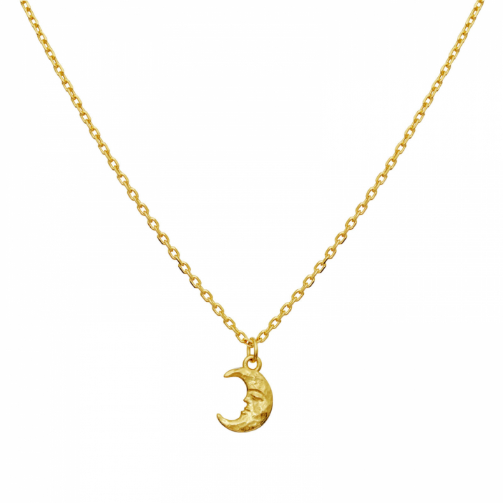 Aila Halsband Guld i gruppen Halsband / Guldhalsband hos SCANDINAVIAN JEWELRY DESIGN (2805A)