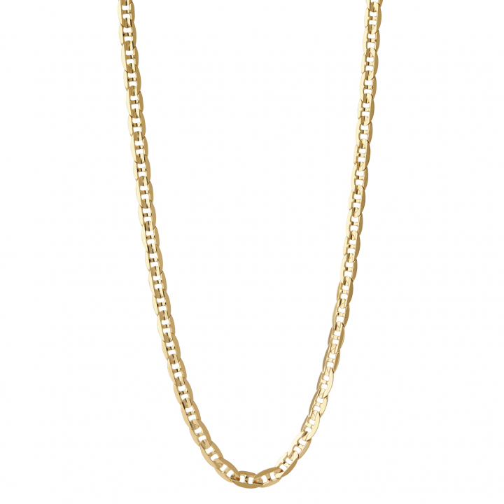 Carlo Necklace 43 Goldplated Silver (One)