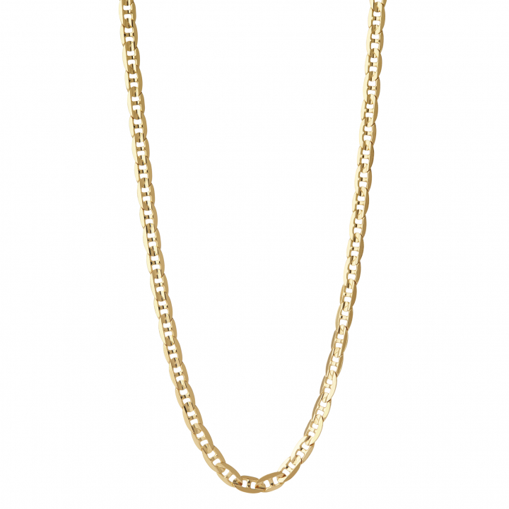 Carlo Necklace 43 Goldplated Silver (One) i gruppen Halsband / Guldhalsband hos SCANDINAVIAN JEWELRY DESIGN (300340-43)