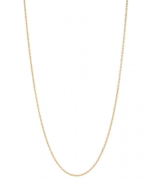 Chain 50 Adjustable Necklace 50 Goldplated Silver (One) i gruppen Halsband / Guldhalsband hos SCANDINAVIAN JEWELRY DESIGN (300370YG-50)