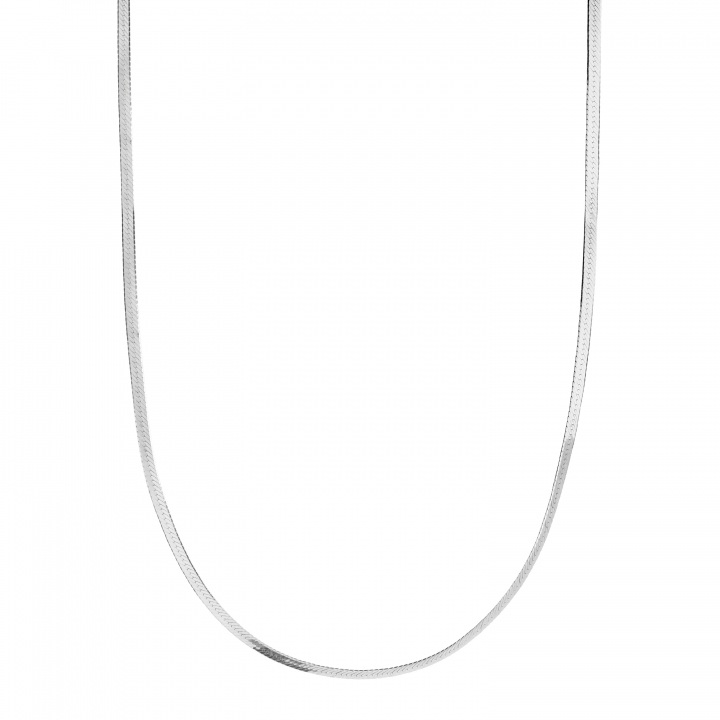 Mio Chain Silver (One) i gruppen Halsband / Silverhalsband hos SCANDINAVIAN JEWELRY DESIGN (300380AG)