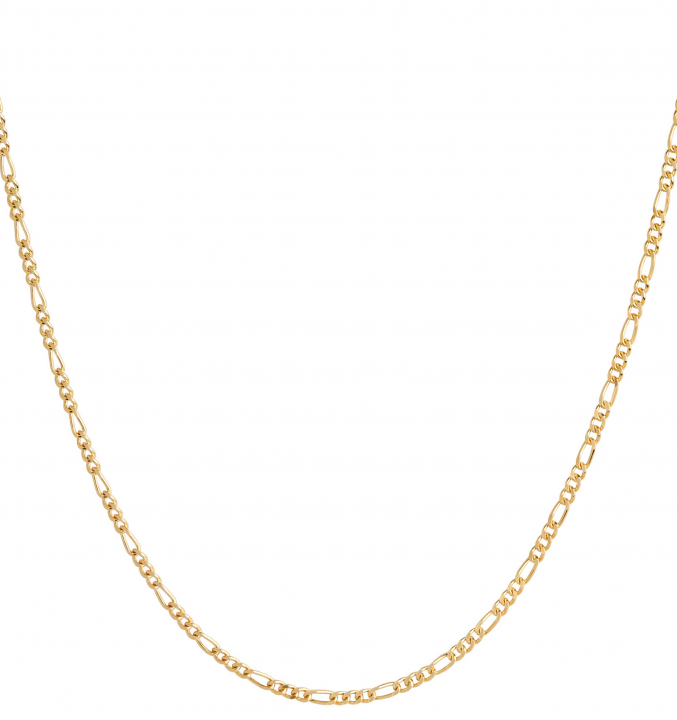 Negroni Necklace Goldplated Silver (One) i gruppen Halsband / Guldhalsband hos SCANDINAVIAN JEWELRY DESIGN (300432YG)