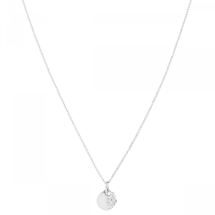 Aspen 50 Necklace Silver (One) i gruppen Halsband / Silverhalsband hos SCANDINAVIAN JEWELRY DESIGN (300460AG-50)