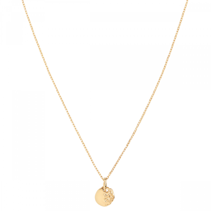 Aspen 50 Necklace Goldplated Silver (One)