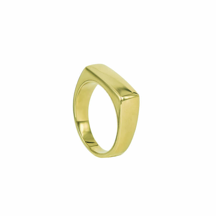 AROCK TIM Guld ring XS