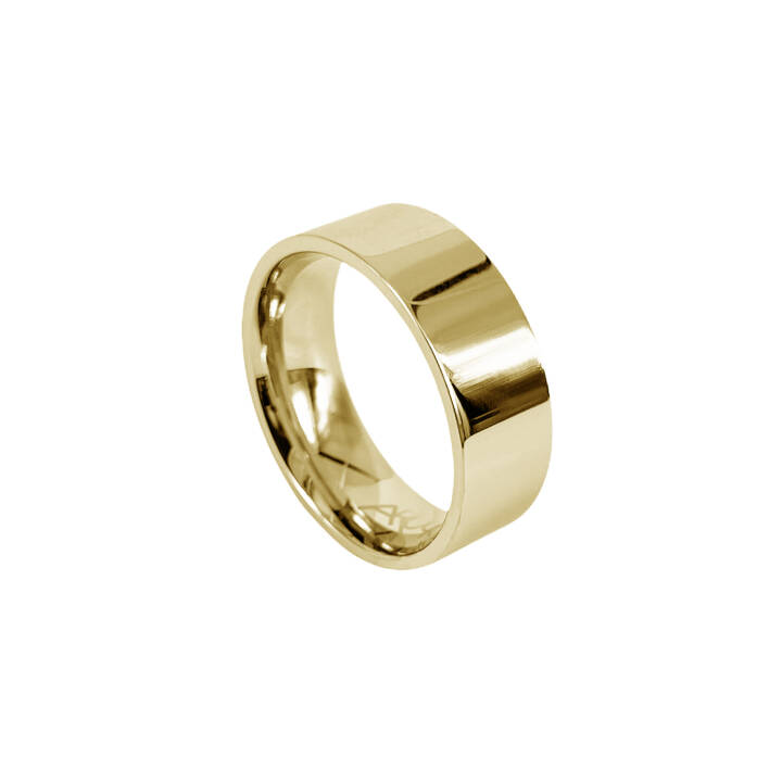 WALTER Blankt Guld ring i gruppen Ringar hos SCANDINAVIAN JEWELRY DESIGN (365960V)