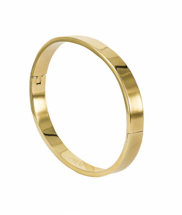 AROCK WALTER Armring Wide Blankt Guld