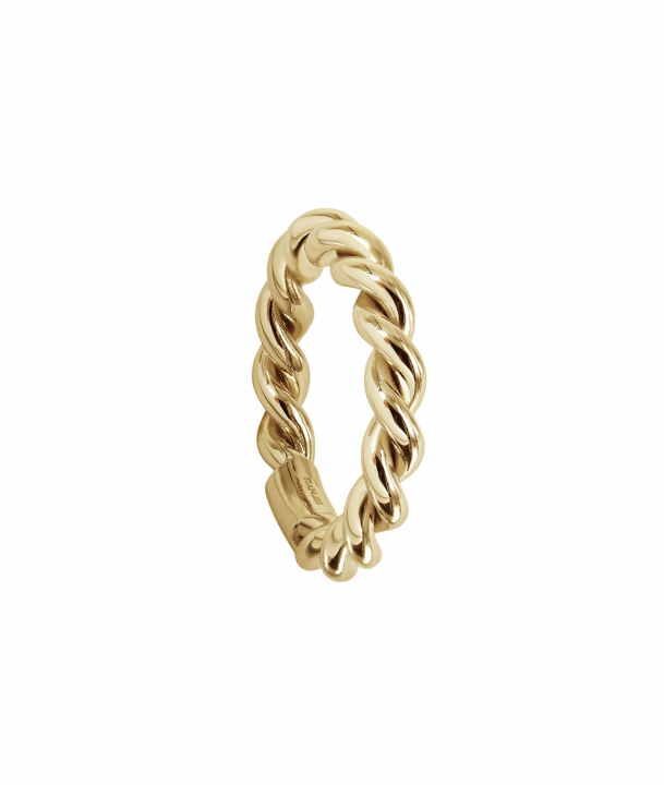 TERRY Ring Guld i gruppen Ringar / Guldringar hos SCANDINAVIAN JEWELRY DESIGN (368404R)