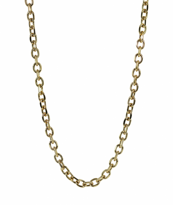 Product Image for AROCK CHARLIE Chain 7 mm Halsband Guld