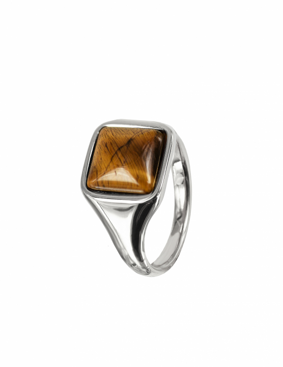 NEO Ring Stål/Brun i gruppen Ringar / Silverringar hos SCANDINAVIAN JEWELRY DESIGN (368787R)