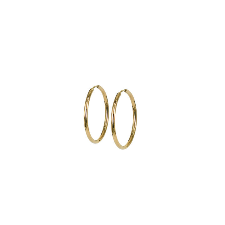 MAXI 14mm örhänge Guld i gruppen Örhängen / Guldörhängen hos SCANDINAVIAN JEWELRY DESIGN (370131)