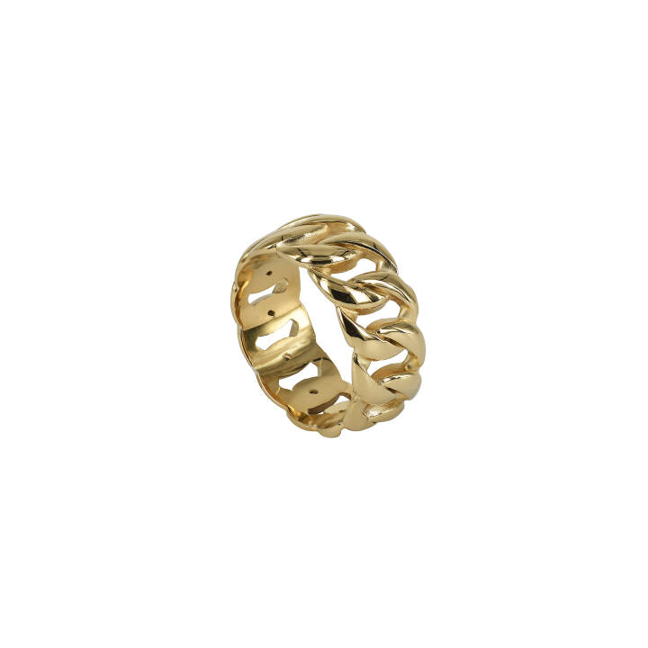 ASTRID Guld ring i gruppen Ringar hos SCANDINAVIAN JEWELRY DESIGN (370780V)