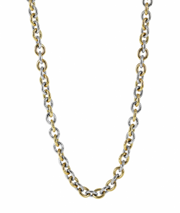 RUBY Small Halsband Stål/Guld i gruppen Halsband / Guldhalsband hos SCANDINAVIAN JEWELRY DESIGN (373002)