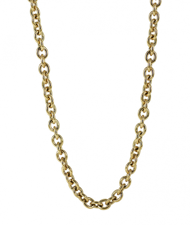 RUBY Small Long Halsband Guld i gruppen Halsband / Guldhalsband hos SCANDINAVIAN JEWELRY DESIGN (373033)