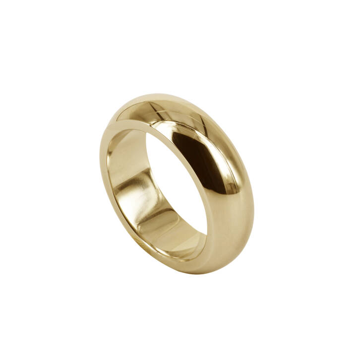 SIA Guld ring i gruppen Ringar hos SCANDINAVIAN JEWELRY DESIGN (400722V)