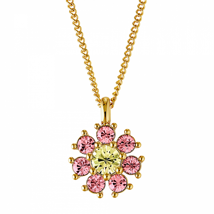 DELISE Guld YELLOW/ROSE i gruppen Halsband / Guldhalsband hos SCANDINAVIAN JEWELRY DESIGN (440034)