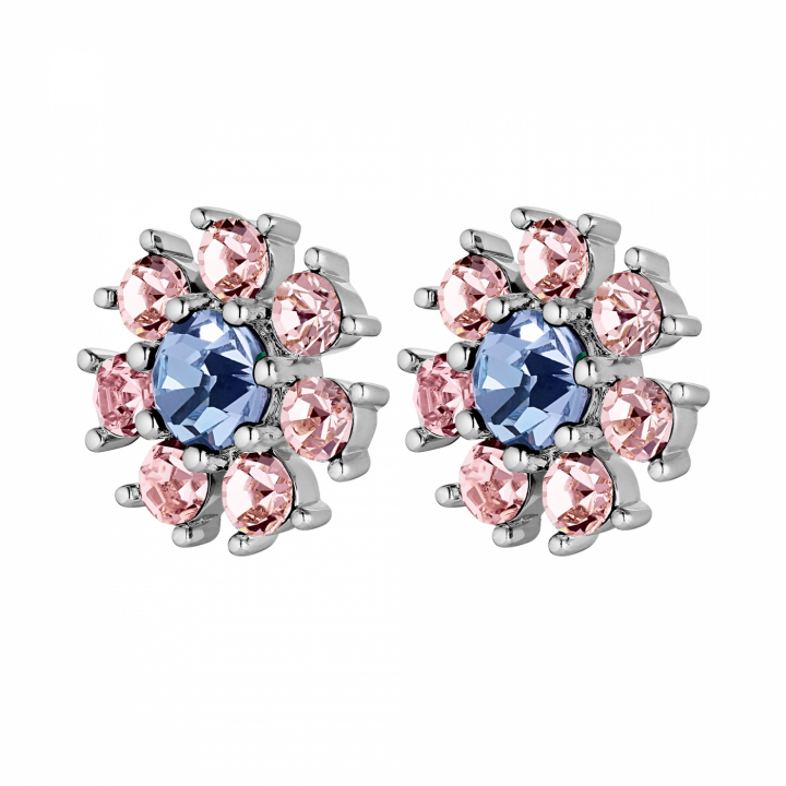 AUDE Silver L.BLUE/ROSE i gruppen Örhängen / Silverörhängen hos SCANDINAVIAN JEWELRY DESIGN (440038)