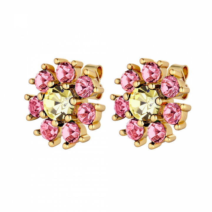 AUDE Guld YELLOW/ROSE i gruppen Örhängen / Guldörhängen hos SCANDINAVIAN JEWELRY DESIGN (440040)