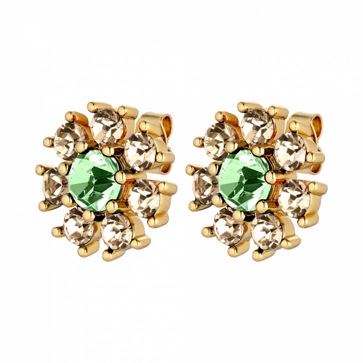 AUDE Guld L.GREEN/GOLDEN i gruppen Örhängen / Guldörhängen hos SCANDINAVIAN JEWELRY DESIGN (440041)
