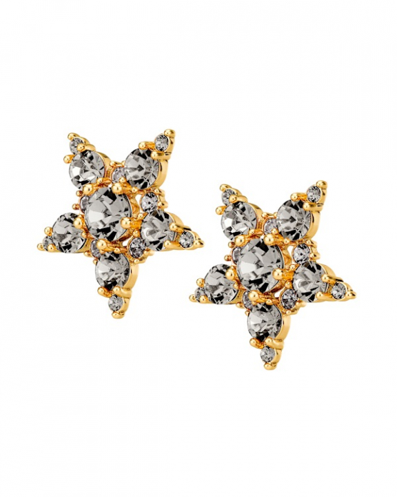 GEMINI SG GREY Örhänge Guld i gruppen Örhängen / Guldörhängen hos SCANDINAVIAN JEWELRY DESIGN (450009)
